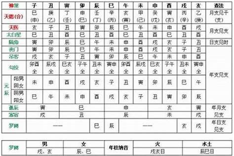 甲木乙木丙火丁火怎麼算|八字基礎教學總整理,八字算命入門全攻略（21分鐘理解）